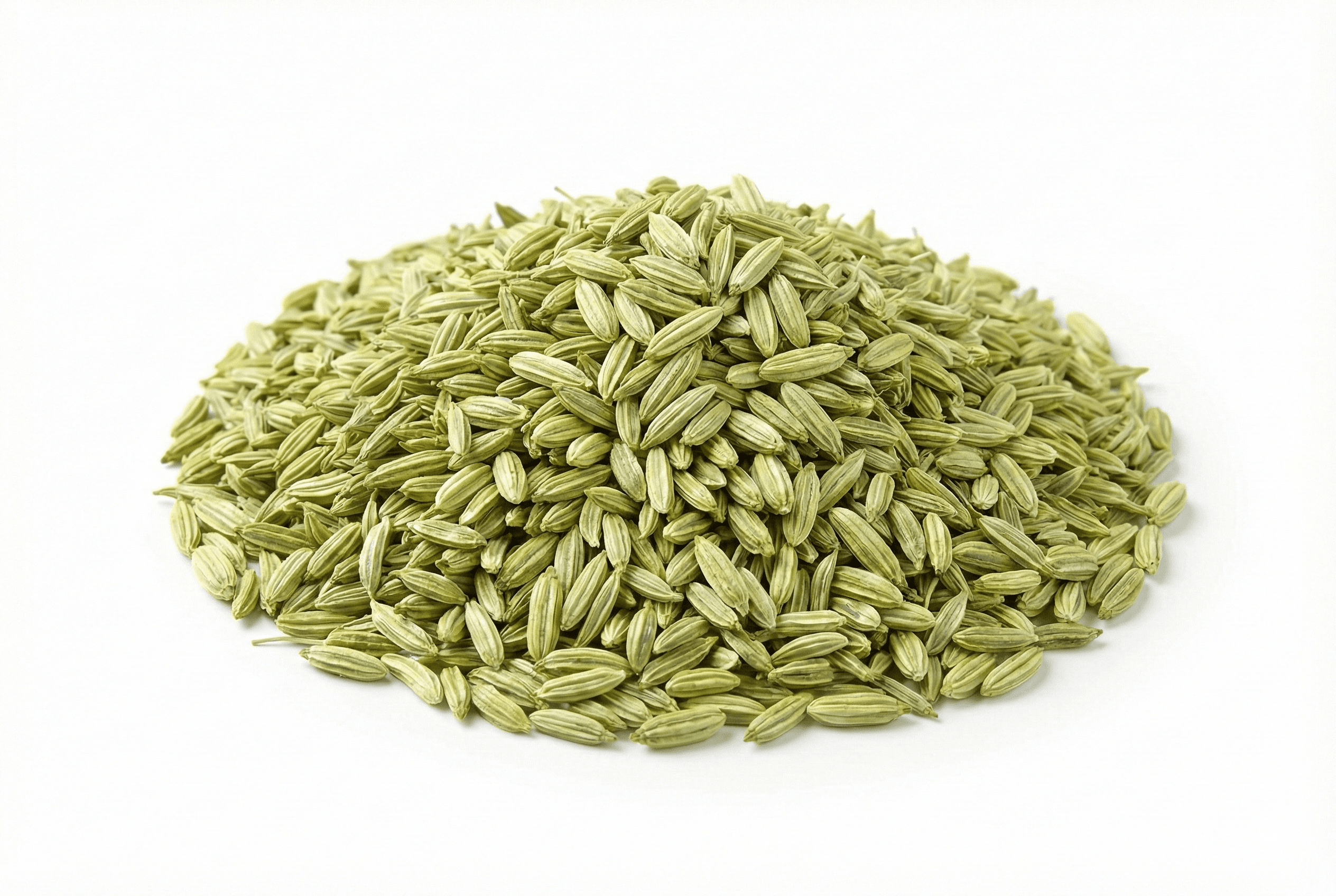 Fennel Seeds - Indian Spices Export | VB Exports